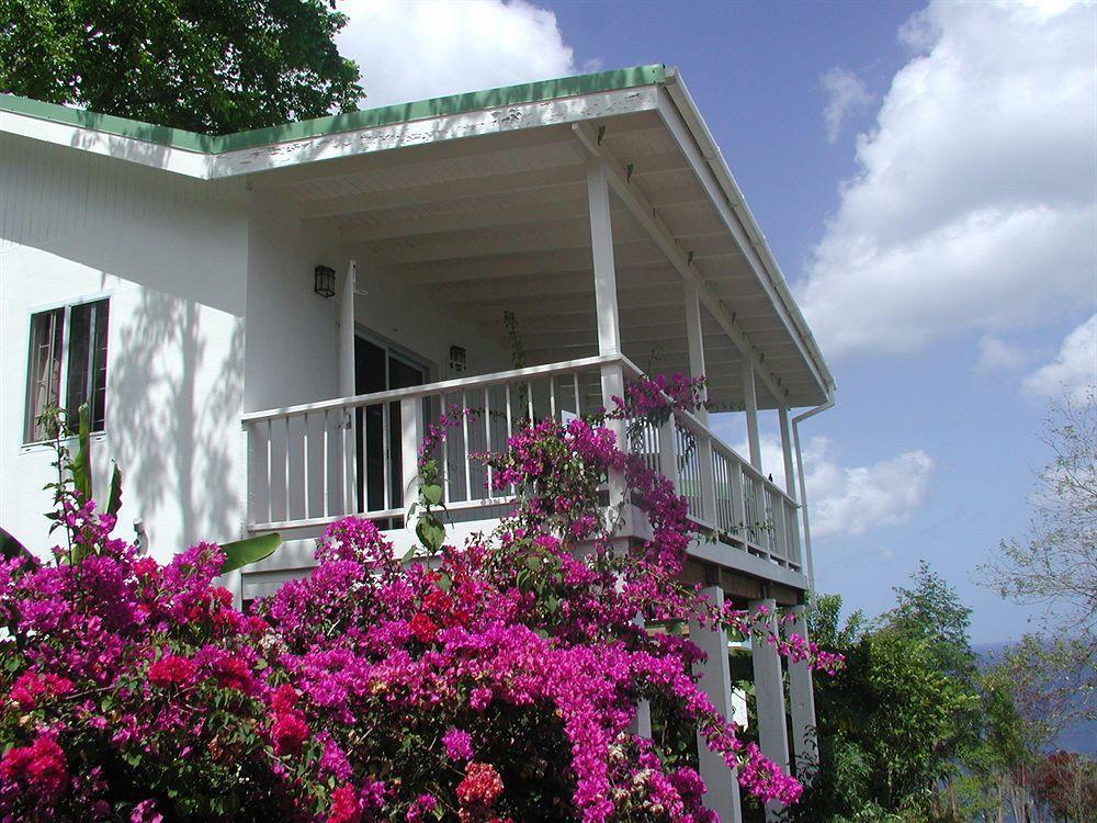 Nature'S Paradise Bed and Breakfast Bahía Marigot Exterior foto